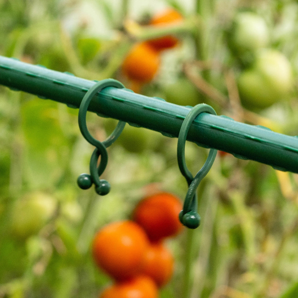 Clip KADAX per piante di pomodoro, pali, steli, germogli, 18 mm, 50 pezzi