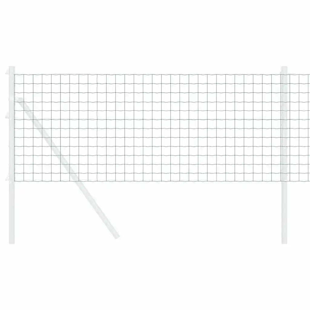 Recinzione Euro Verde 0.8 x 25 m Ferro rivestito in PVC 42004372