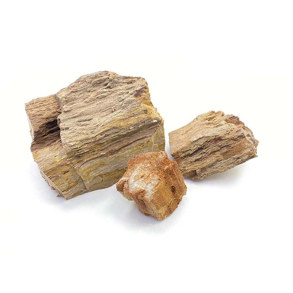 Whimar Aquascaping Box Red Wood Fossil Rock - Set di rocce non calcaree di origine fossile Per Acquari Da: 120 L
