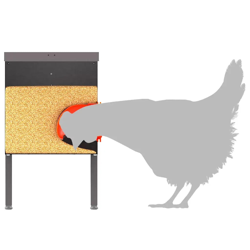 Feeder per pollo 2 pcs Nero 41,5 x 20,5 x 33 cm 879987