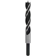 Bosch PUNTA ELICOIDALE PER LEGNO 7X65X100 PZ 1