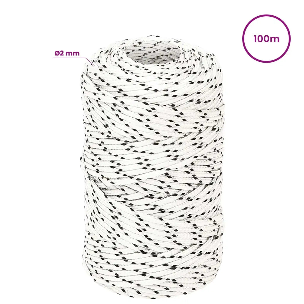 Corda multiuso 2 mm 100 m Bianco Poliestere 3473501