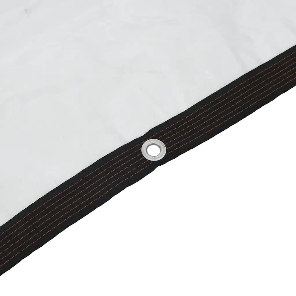 Telone Trasparente con Occhielli 2x8 m in Polietilene
