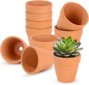Decine di vasi terracotta piccoli 65 x 65 cm per piante grasse indoor e outdoor