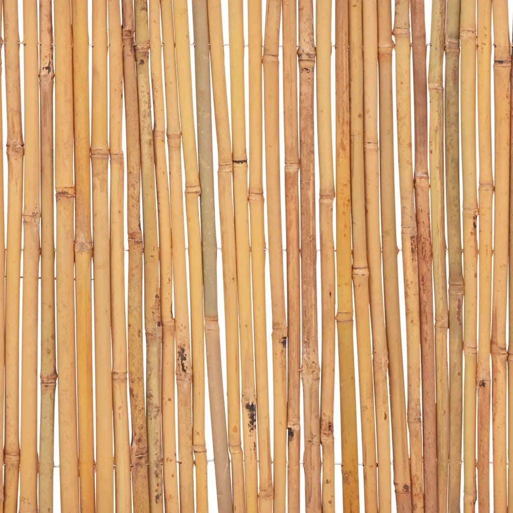 Recinzione in Bambù 500x50 cm 142682