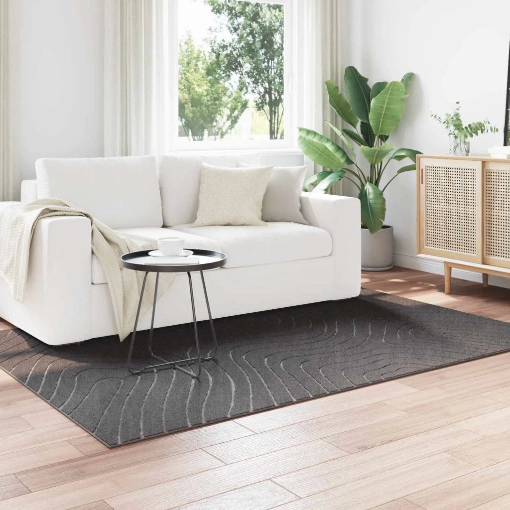 Tappeti per area | Tappeti a zone PALMERAS Antracite 170 x 120 cm Poliestere