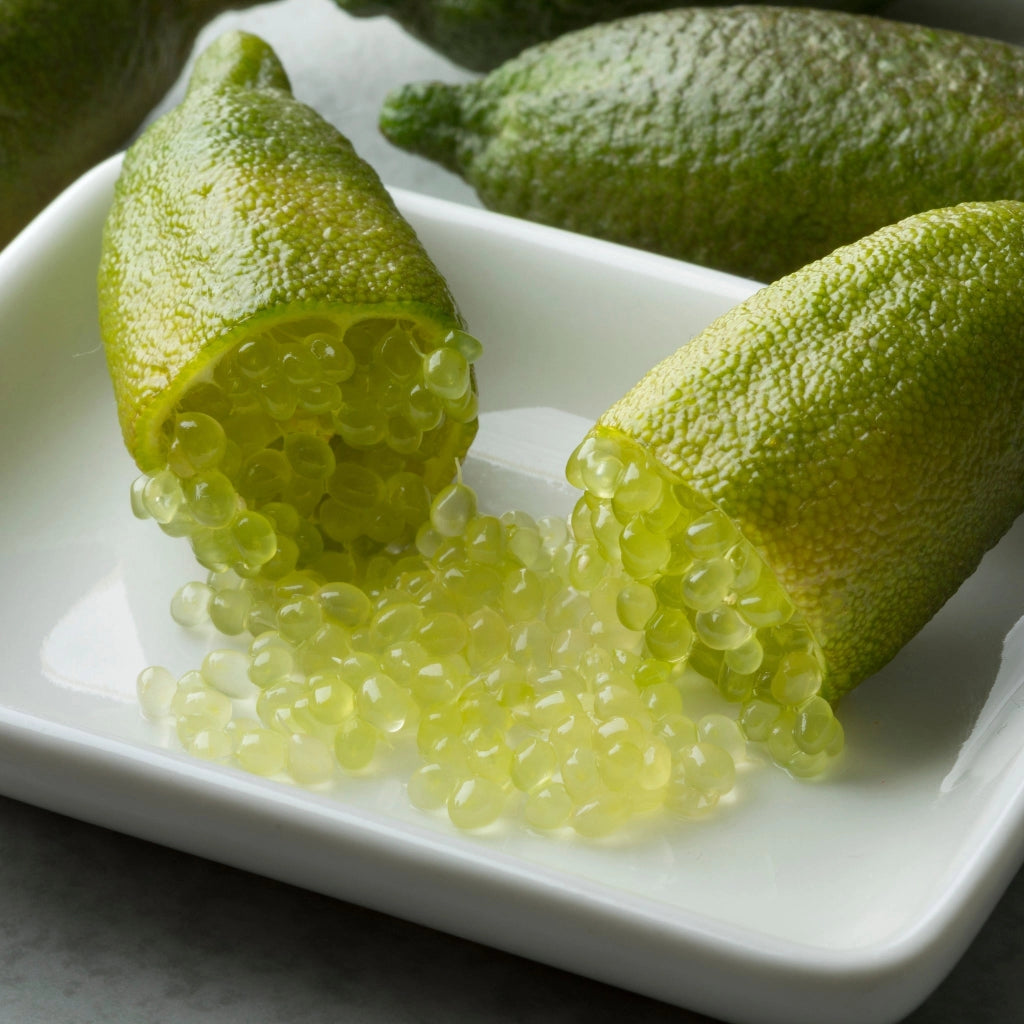 Gardenaria Limone Caviale Verde (Finger Lime) - Microcitrus australasica - Pianta di agrume da frutto in vaso Altezza: 70/80 cm (vaso 22)