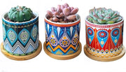 Set di 3 vasi mini-mandala per piante grasse - contenitore in bambù