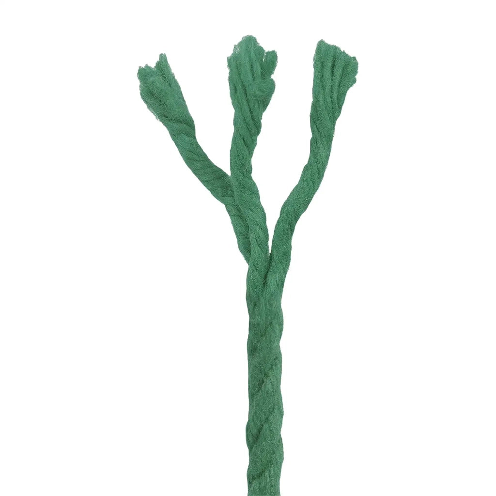 Spago di Cotone 2 pz 2 mm 100 m Verde 100% Cotone 42011940