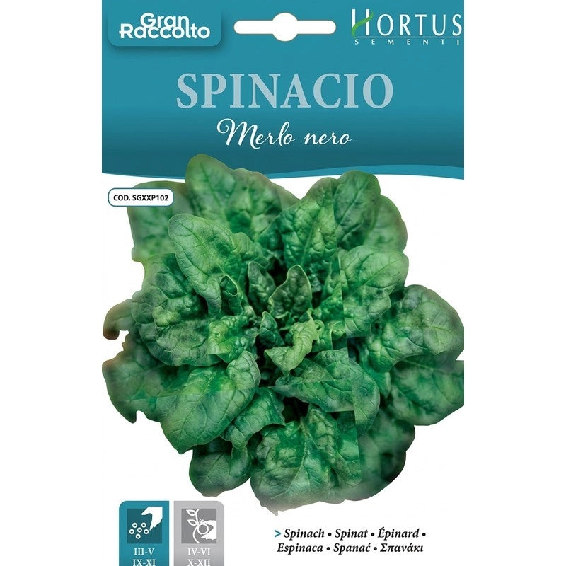 Spinacio Merlo Nero Gran Raccolto