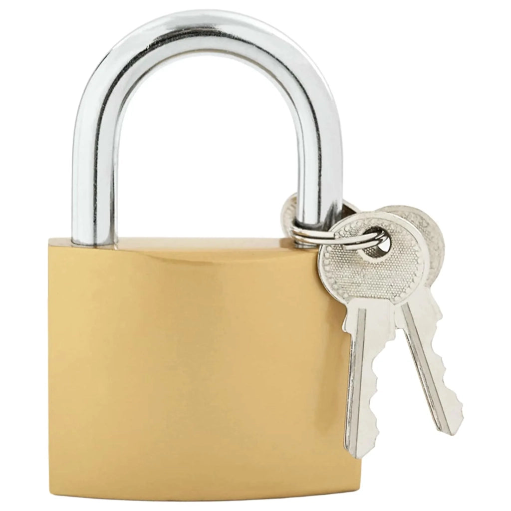 U Lock con Chiavi 100 pcs Ottone Ferro 3417320
