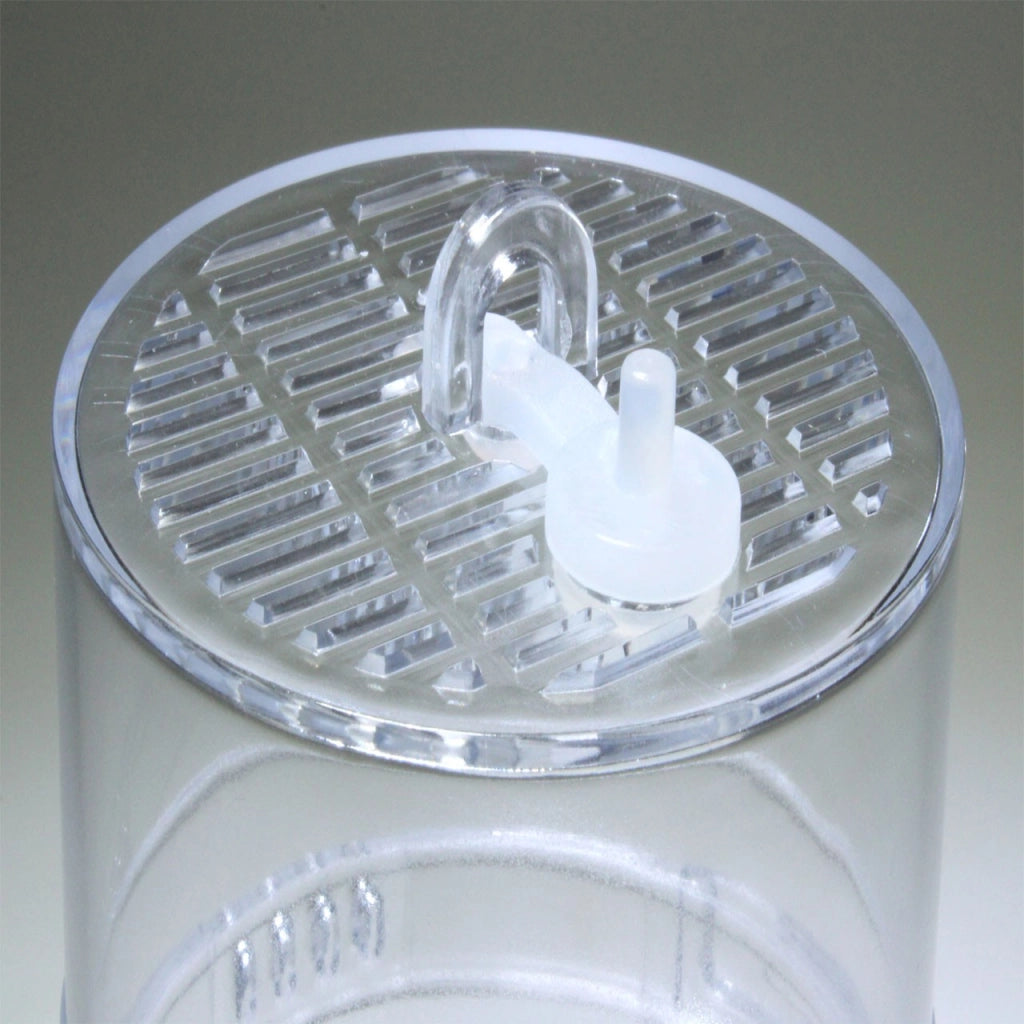 Lucky Reptile Critter Box cm6x11h
