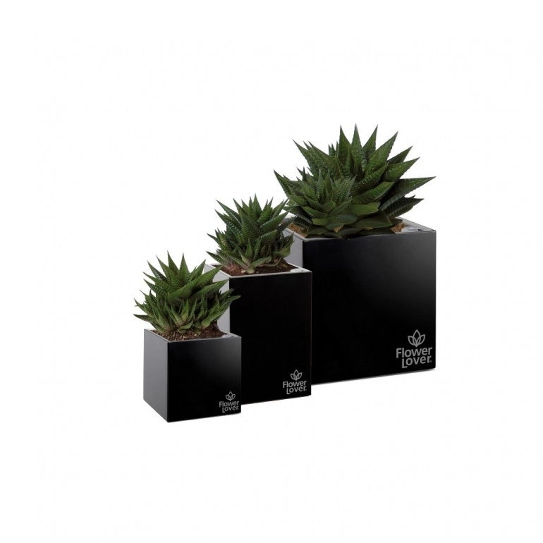 Vaso CUBICO 33x33x33 cm, con sistema di auto-irrigazione