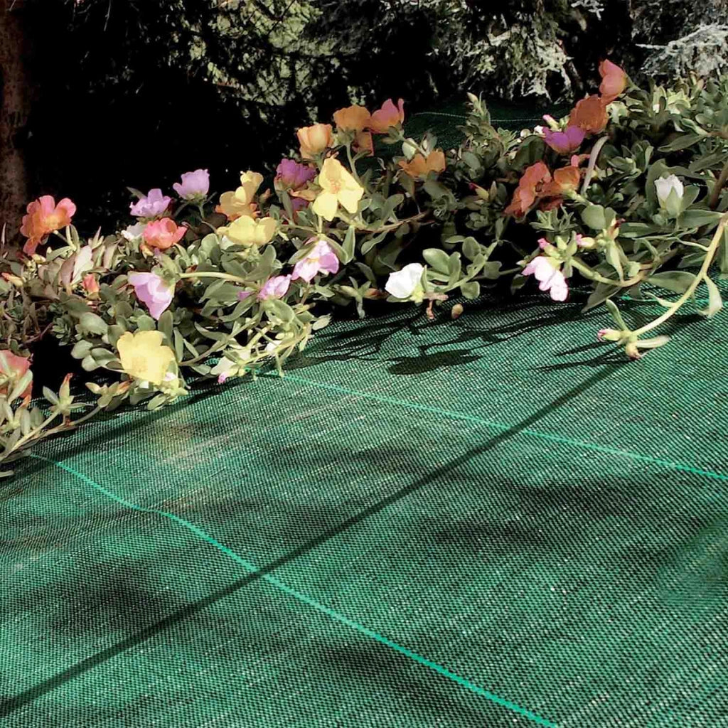 Telo Pacciamatura Premium Stop Erbe Infestanti Antistrappo Uv Resistente Permeabile Drenante Telo Orto Giardino Serra Polipropilene Contro Le Erbacce Pavimentazioni Pavimento - 1x50 Mt