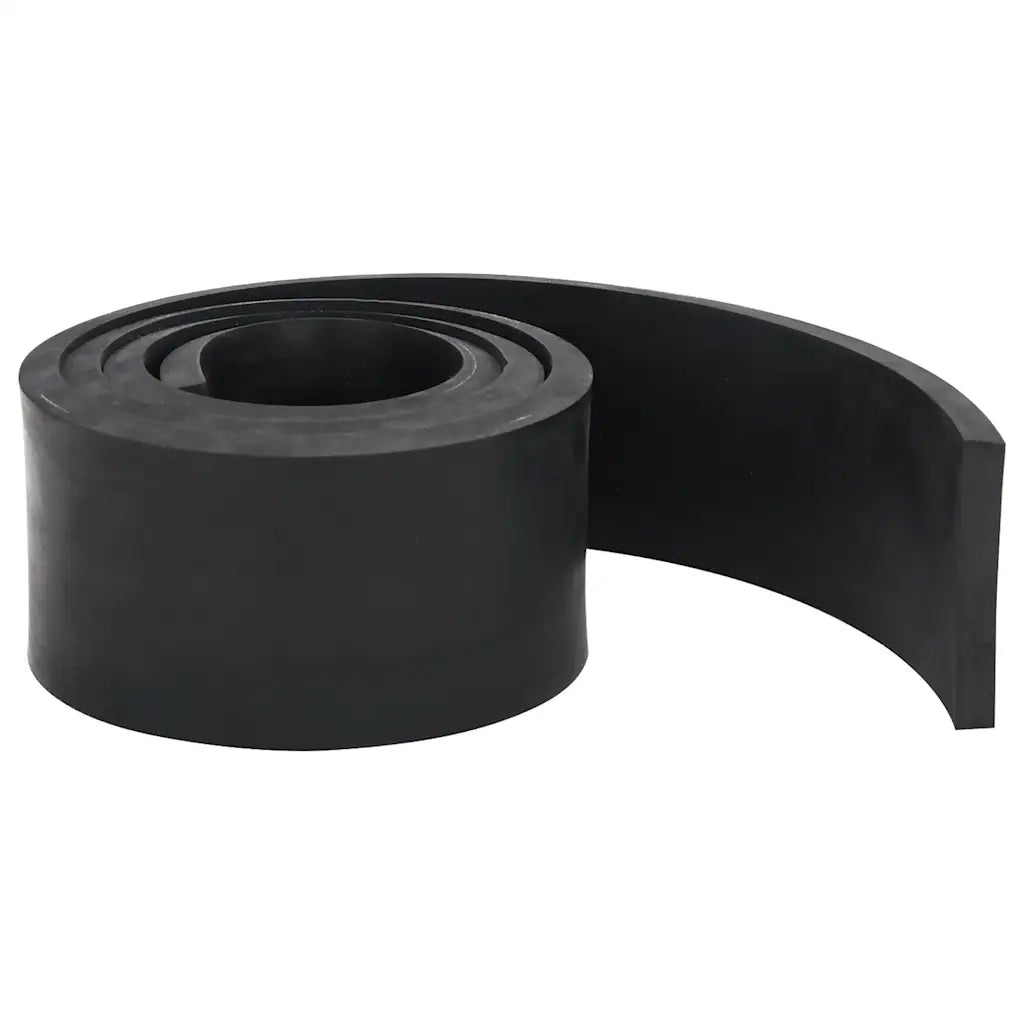 Bordo in Gomma per Spazzaneve Nero 200x10x1 cm 4103522