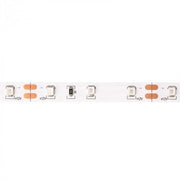Striscia LED verde 5m 4,8W/m 12V IP20 dimmerabile Ecolight