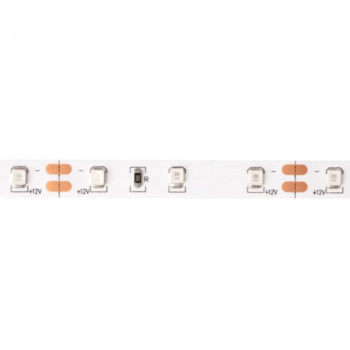Striscia LED verde 5m 4,8W/m 12V IP20 dimmerabile Ecolight