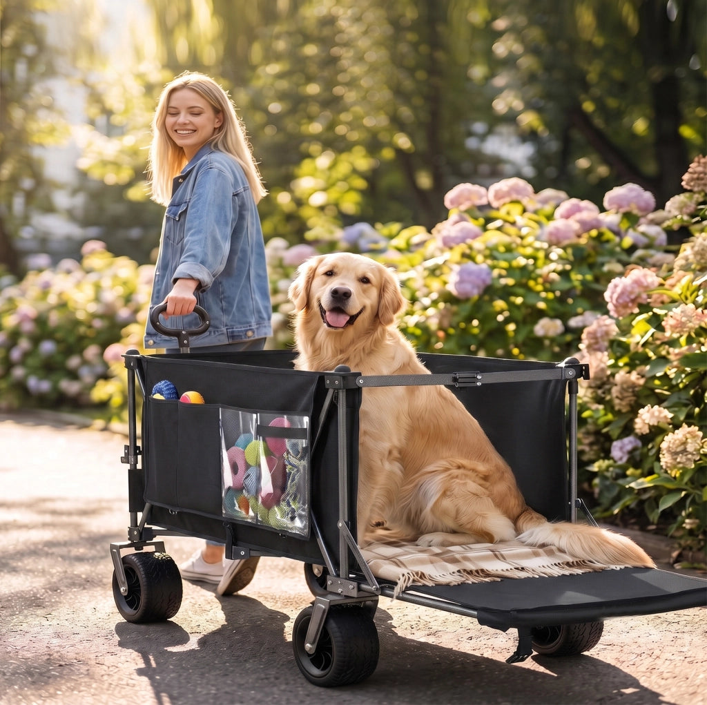 Carrello pieghevole allungabile con ruote per terreni diversi