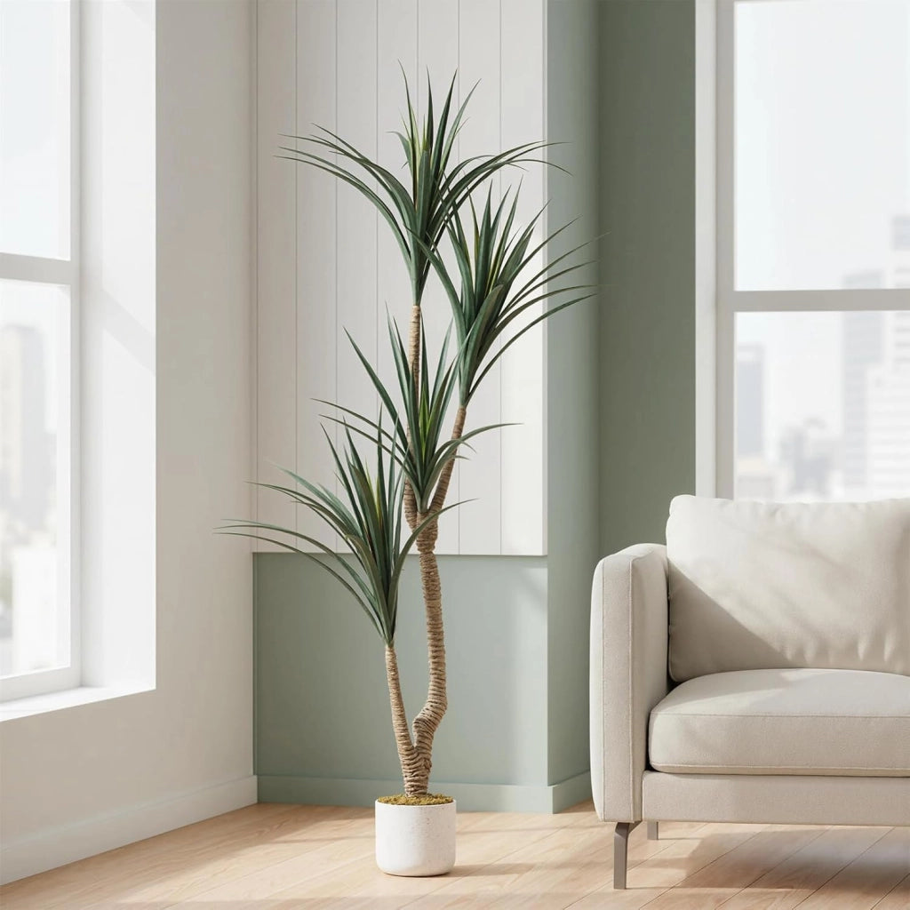 Dracena Dragon Tree Artificiale 165 cm Grande Pianta da Interno con Vaso Nero