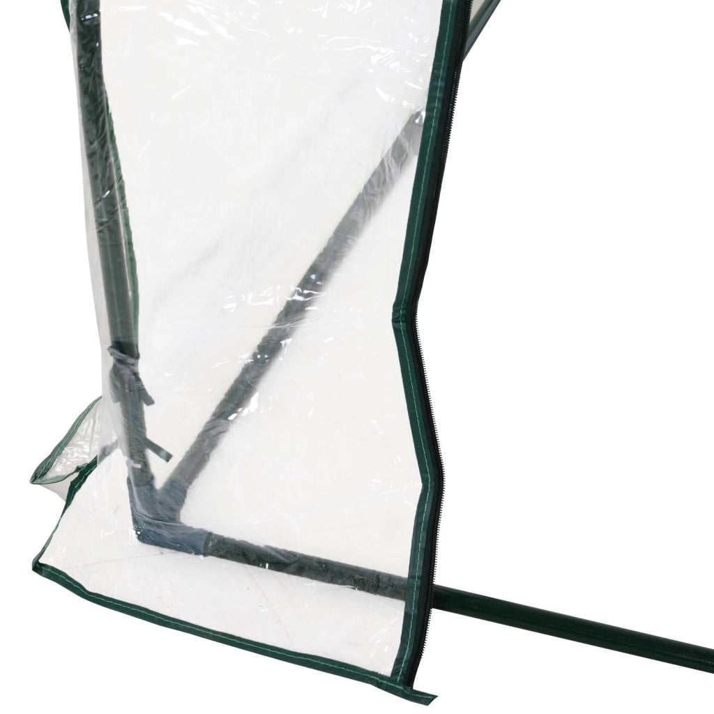 SERRA Da giardino 250x100x80 cm Plastica Trasparente