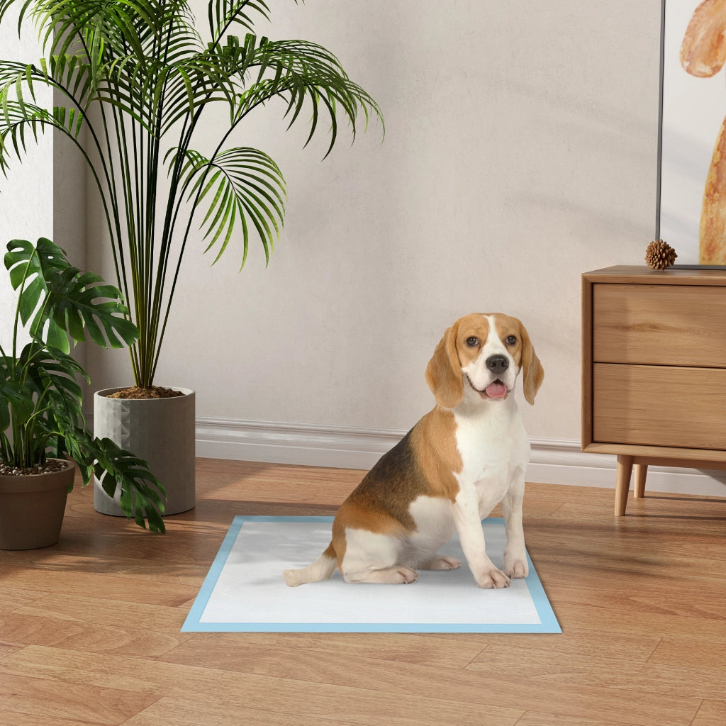 Set 80 Tappetini Igienici per Cani a 6 Strati in Tessuto non Tessuto, Carta e PE, 60x60 cm, Blu e Bianco