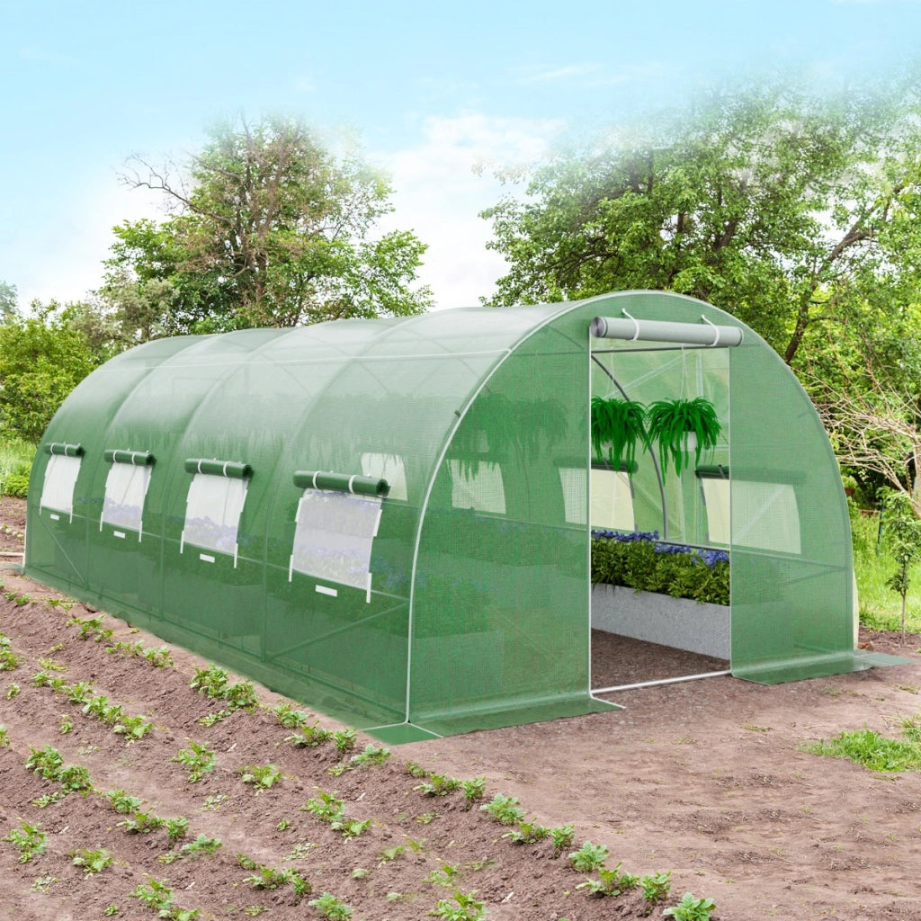 Serra per piante da giardino con 10 finestre avvolgibili 2 porte con cerniera, Serra tunnel per orto Verde