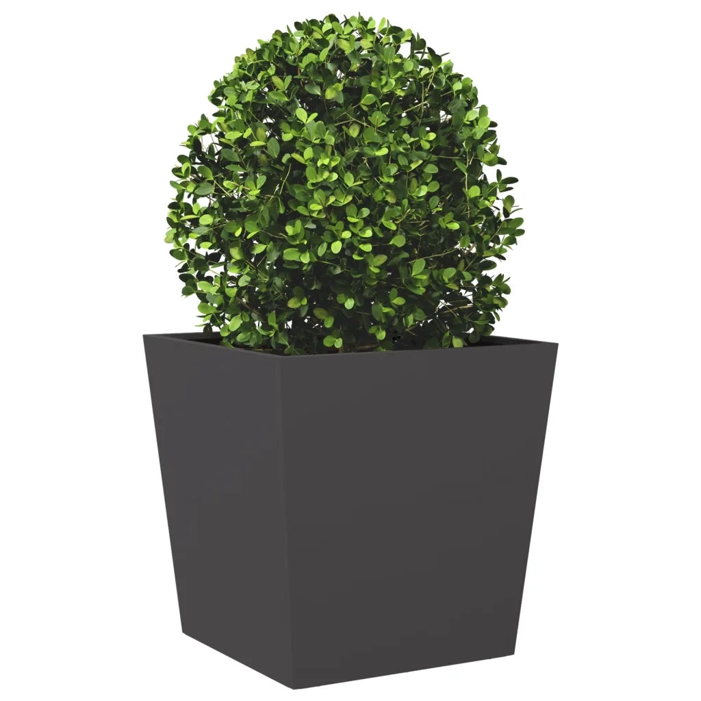 Fioriera da Giardino-Vaso da Esterno-Contenitore per Piante Nera 50x50x50 cm in Acciaio 547982