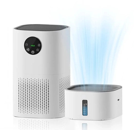 Pulitore dell'aria - 2-in-1 - Filtro HEPA H13 - Allergie - Capelli di animali domestici - e Fumo - Silenzioso e Efficiente - Adatto per Camera da Letto e Ambiente di Vita - con Componente di Umidificazione