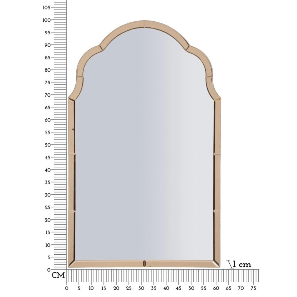 Specchio con Cornice Classico 6, Rosa, MDF, 100x62x1 cm