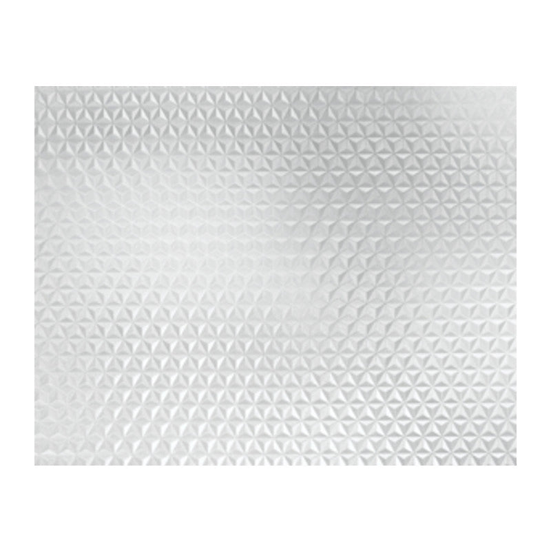 RT PLASTICA ADESIVA 280.2829 TRASPAR STEPS 2,5 M  6 RT