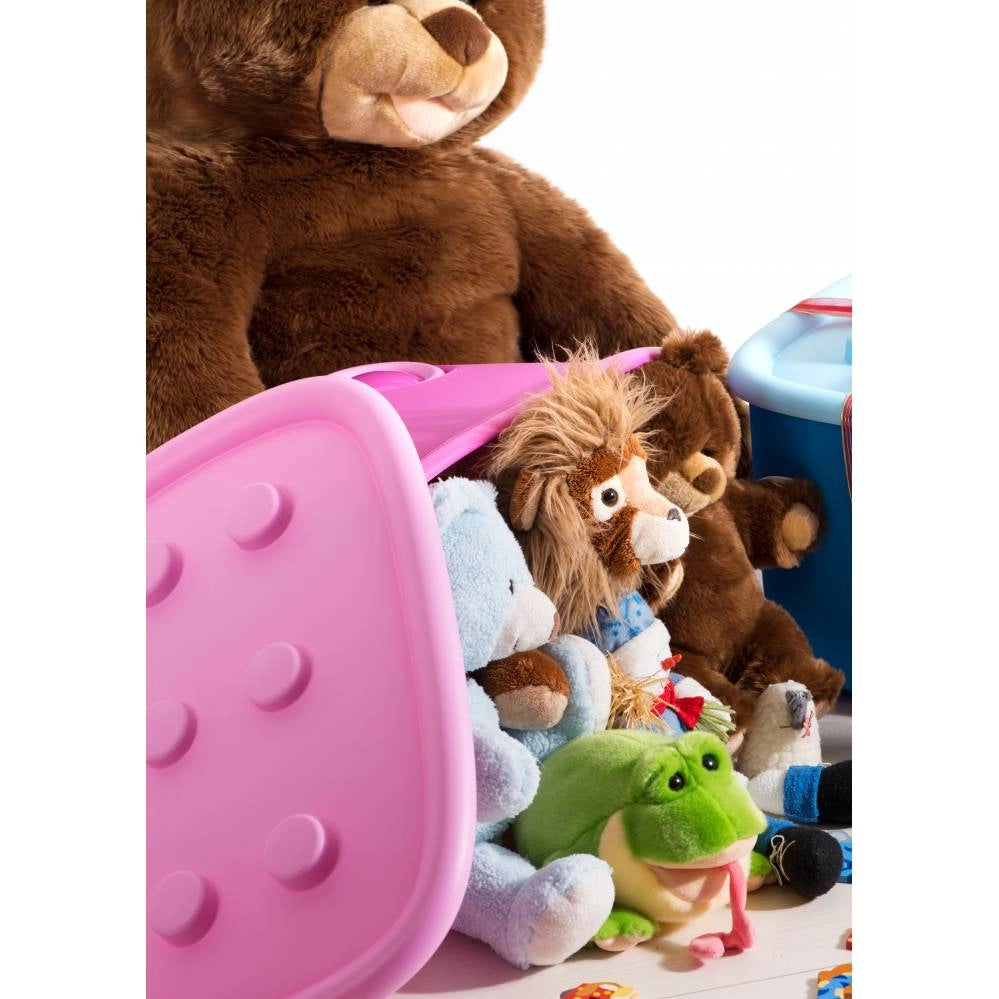 Keter CONTENITORE FUNNY BOX 58X39XH32CM ROSA