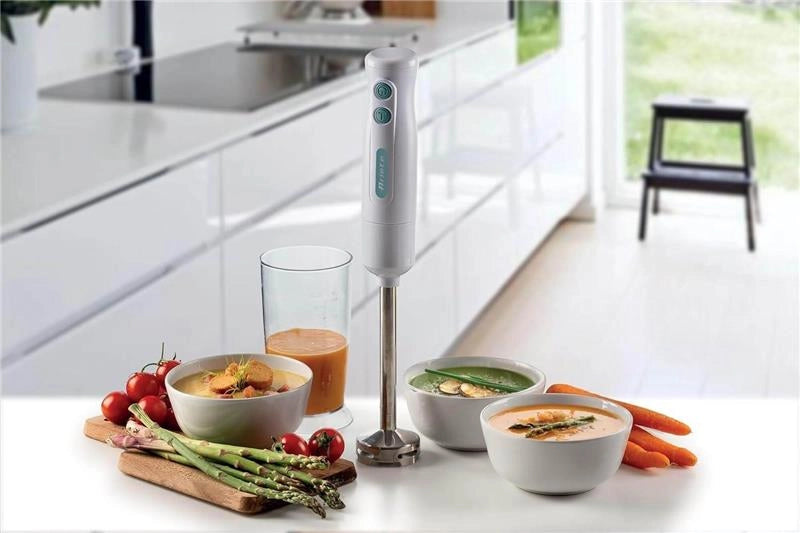 ARIETE 0601/01 FRULLATORE A IMMERSIONE CON 2 VELOCITÀ, 700W