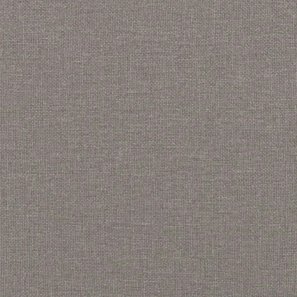 Cuscini da Divano 2 pcs Talpa 60 x 60 cm Tessuto 42014003