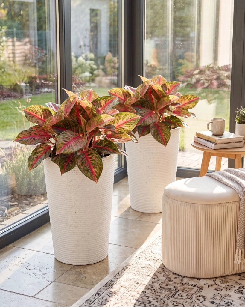 Set di 2 vasi da giardino grandi con effetto a coste per terrazzo colore bianco