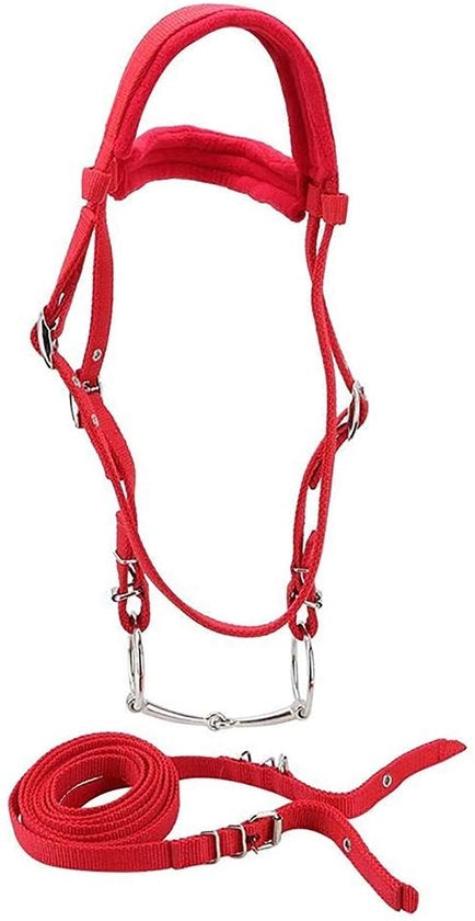 Accessorio per cavalli - Regolabile - Morso/Reins - Cuscini morbidi - Materiale PP duraturo - Accessorio ideale - Protegge la pelle del cavallo