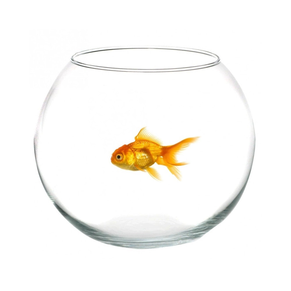 Trade Shop - Ampolla Boccia Per Pesci In Vetro 25 Cm Acquario Pesce Rosso Centro Tavola Casa -