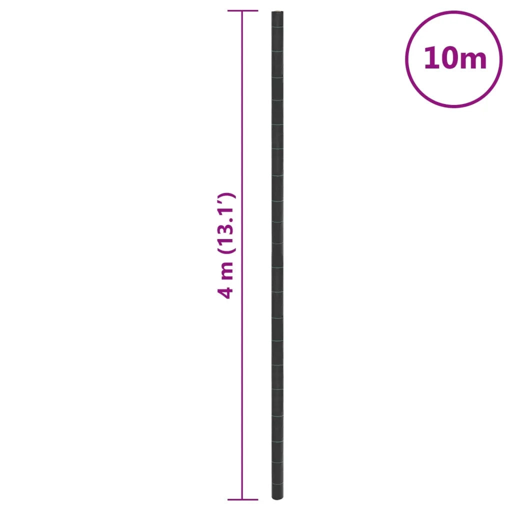 Membrana Antierbacce Nera 4x10 m in PP CFW5040795