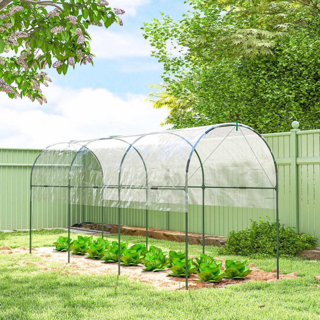 Serra da giardino per pomodori in acciaio e PVC 4 archi verde 4 x 1,2 x 1,7 m robusta per orto e fai da te