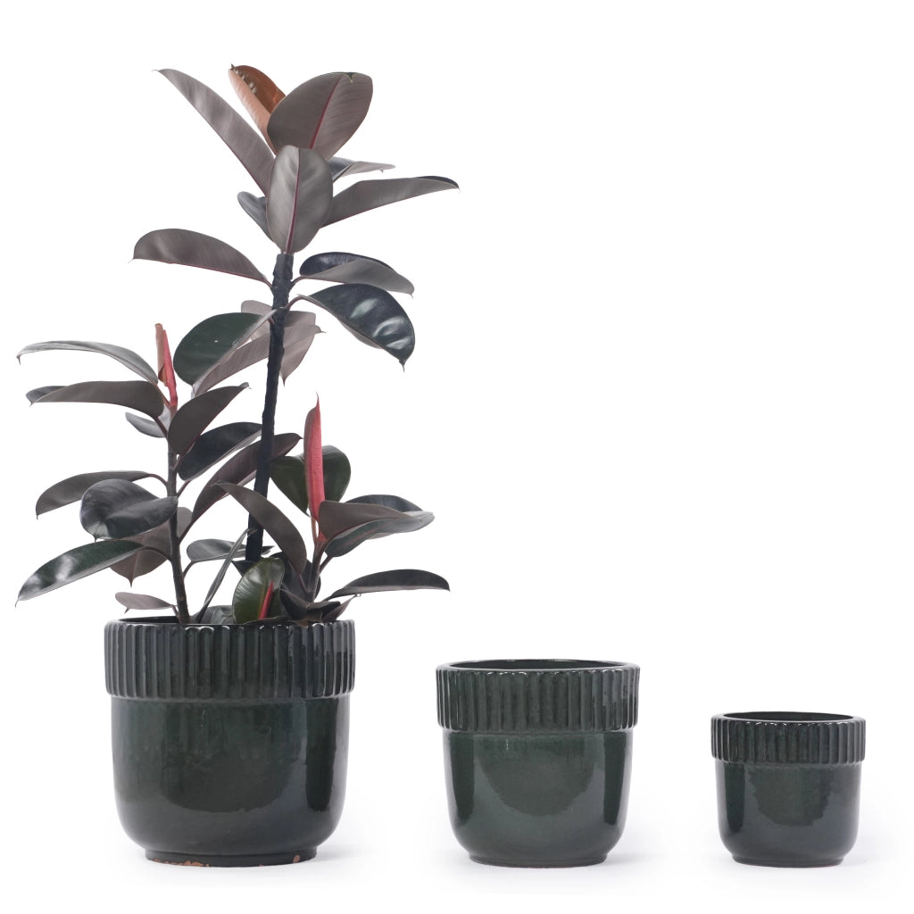 Einzelner Handgefertigter Keramik Pflanztopf Ø 30.5 cm - Glänzend Dunkelgrün mit Rillenleiste, atmungsaktiv & frostsicher für mittlere Zimmer- und Balkonpflanzen