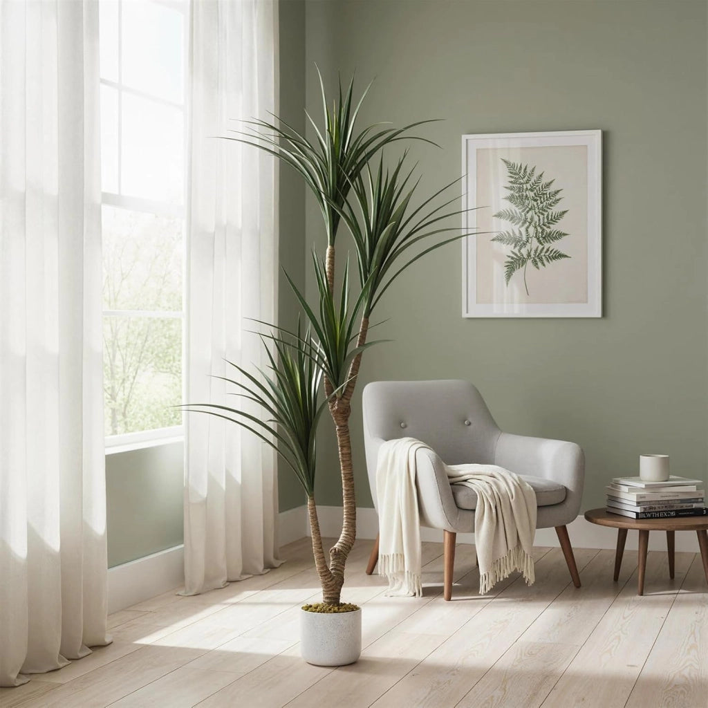 Dracena Dragon Tree Artificiale 165 cm Grande Pianta da Interno con Vaso Nero
