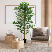 Ficus artificiale con 1260 foglie e vaso in cemento verde; altezza 180 cm per interni ed esterni