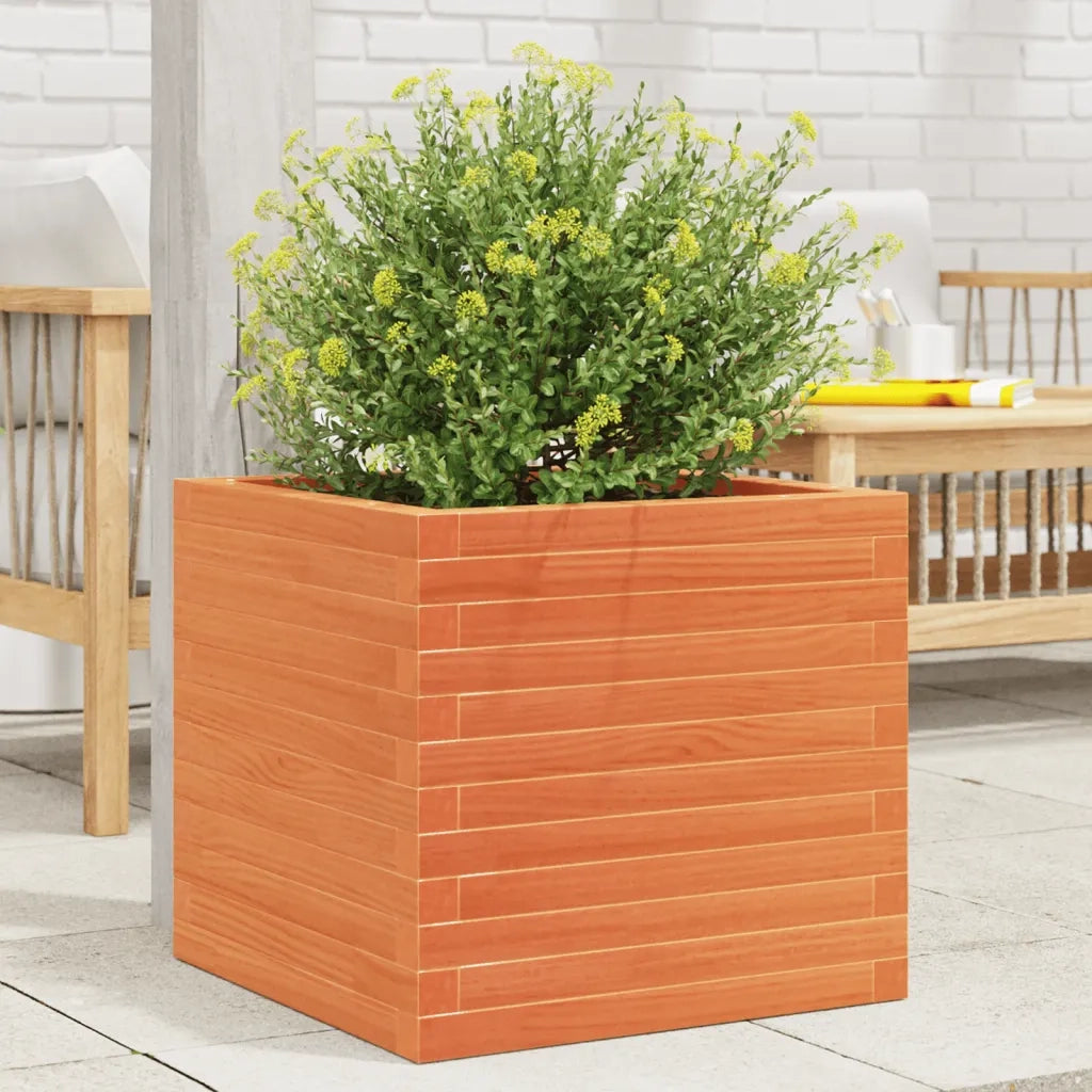 Fioriera | Cassetta per fiori | Vaso Giardino Marrone Cera 50x50x46 cm Legno Massello Pino
