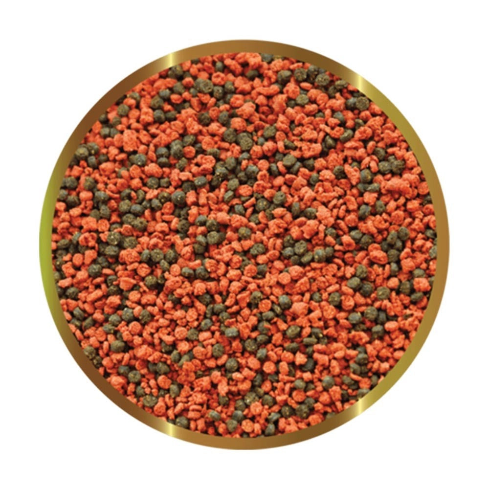 SHG Cichlids Small - 125gr