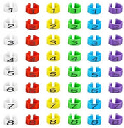 Ringhiere per zampe di pollo 48 pezzi - Ringhiere per uccelli - Identificazione multicolore - Clip numerato - Materiale plastico resistente - Per polli/tacchini/oca - Ringhiere per uccelli