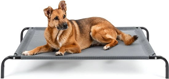 Letto per cani elevabile fino a 55 kg, 114x76 cm grigio