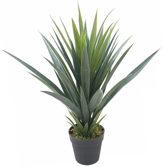 Pianta ornamentale a forma di foglia, succulenta, stile Yucca, 60 cm