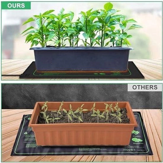 Matrice di riscaldamento e termostato digitale per semi, piastra di riscaldamento per hydrocultura per la germinazione, coltivazione indoor - serra 20.7 x 3.9 (presa 220V)