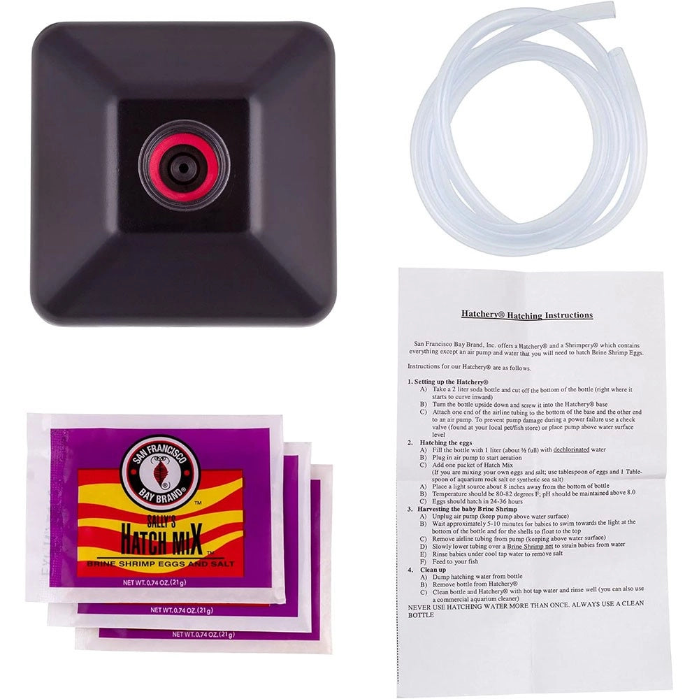 San Francisco Bay Brine Shrimp Hatchery Kit