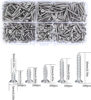Assortimento di viti autoalimentanti 500pz