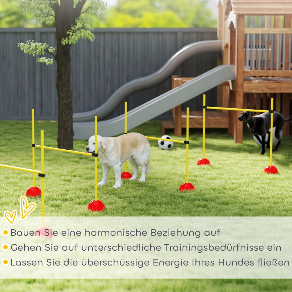 Set per Agility per Cani ¨C Minimal ¨C Giallo